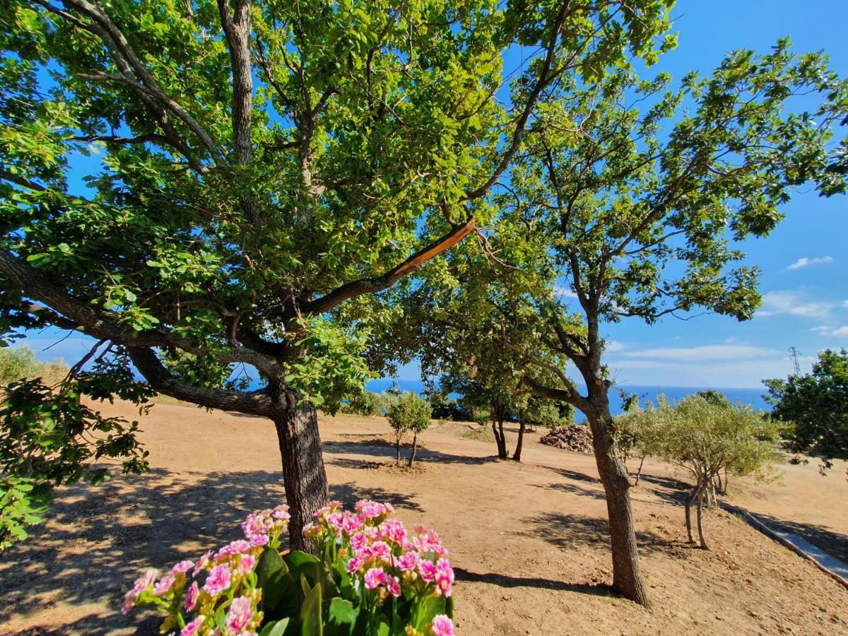 Agriturismo Le Terre di Veneré Acciaroli Exterior foto