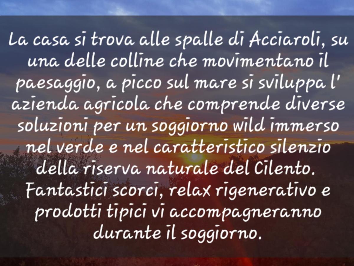 Agriturismo Le Terre di Veneré Acciaroli Exterior foto