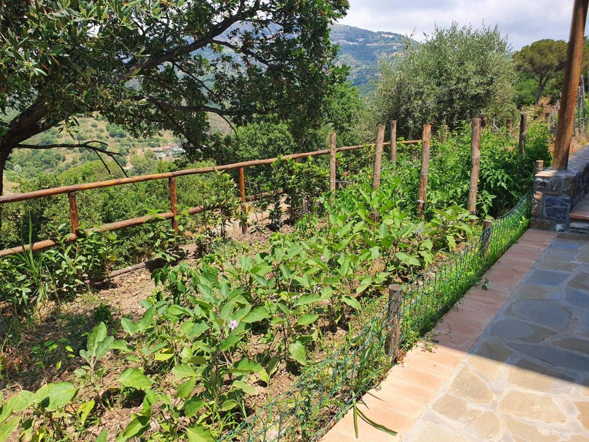 Agriturismo Le Terre di Veneré Acciaroli Exterior foto