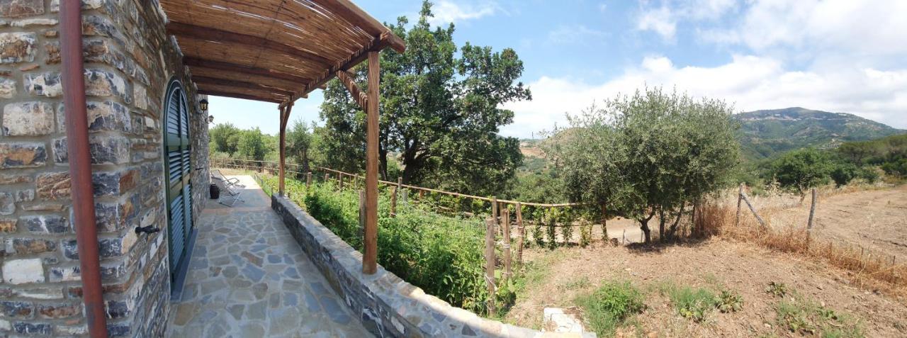 Agriturismo Le Terre di Veneré Acciaroli Exterior foto