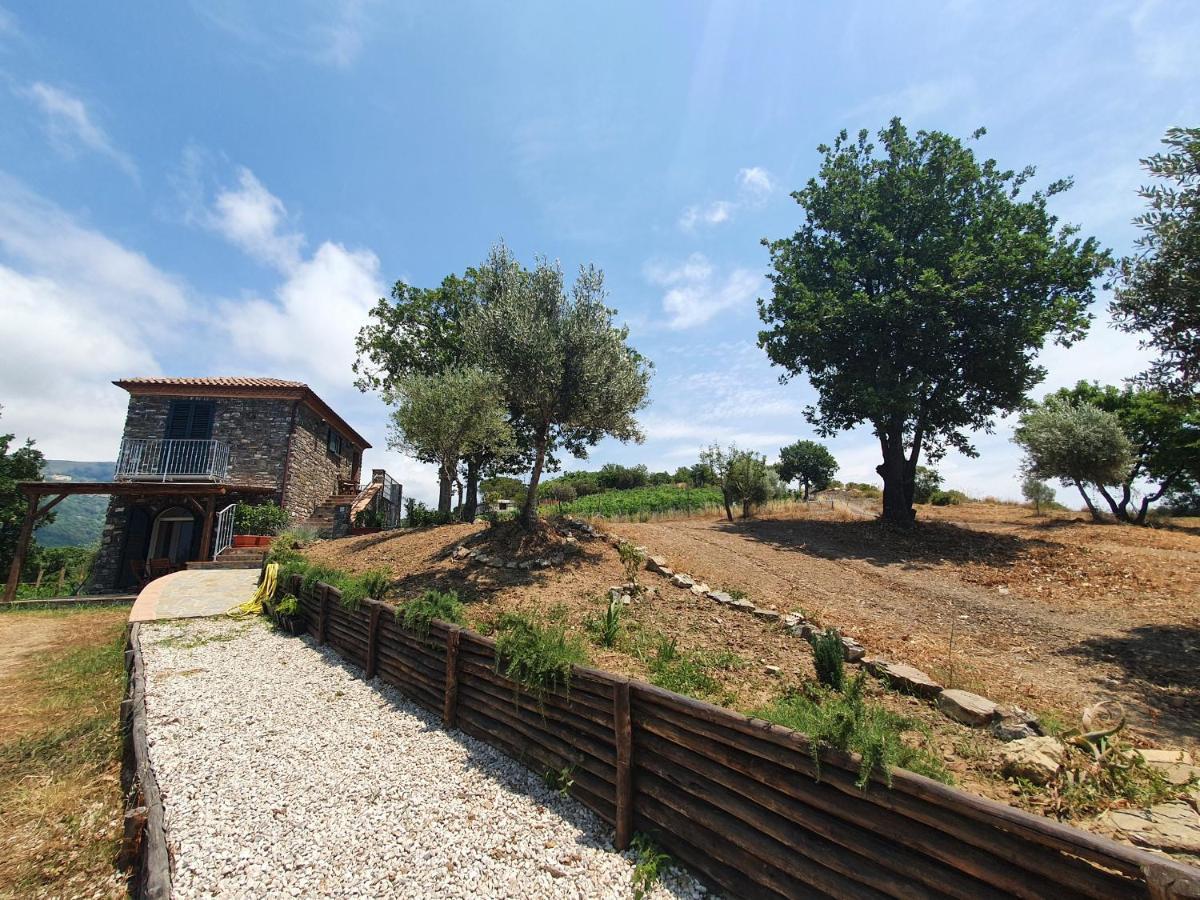 Agriturismo Le Terre di Veneré Acciaroli Exterior foto