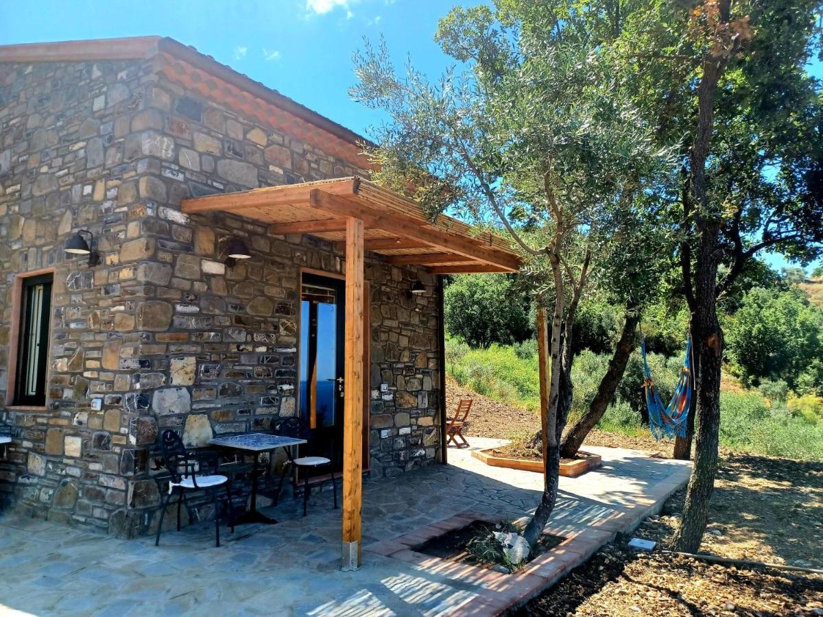 Agriturismo Le Terre di Veneré Acciaroli Exterior foto