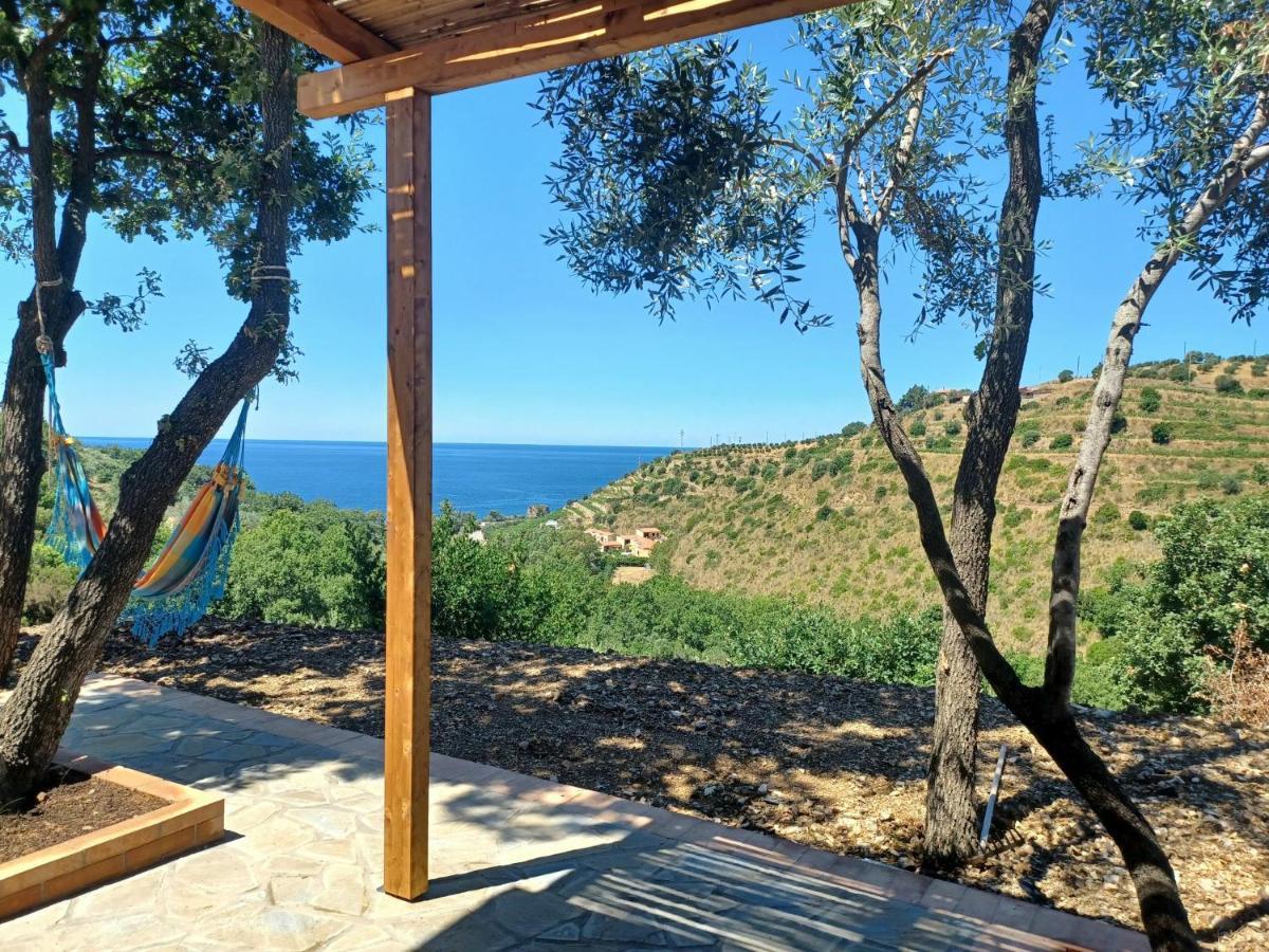 Agriturismo Le Terre di Veneré Acciaroli Exterior foto